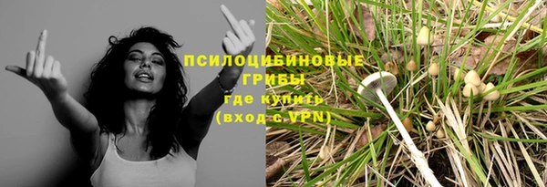 МДПВ Богданович