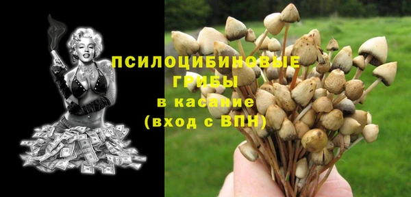 MDMA Premium VHQ Белокуриха